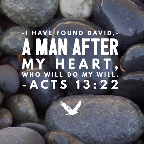 After His own heart Agents of Light
